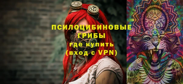 трава Абаза