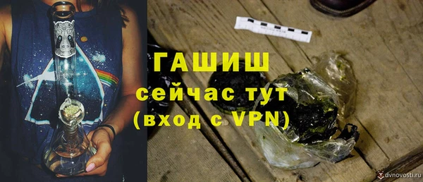 дмт Осинники