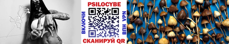 Галлюциногенные грибы Psilocybe  гидра ТОР  Щёлкино 